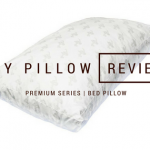 My pillow premium series bed pillow reviews