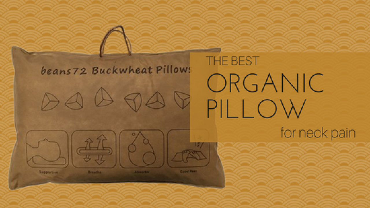 Best Organic Pillow For Neck Pain Best Pillow For Sleeping